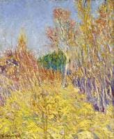 The Group of Poplars, Sun Effect