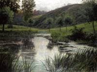 The Pond