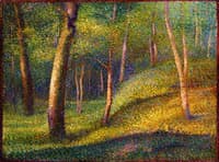 In the Woods
