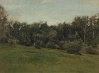 Edge of the Forest. Ligovo