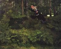 In the Forest