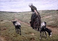 A Woman and Her Goats in the Dunes