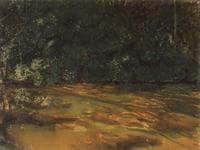 Overgrown Pond