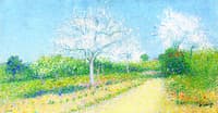 Almond Trees in Bloom near Cailhau