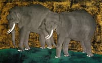 Elephants