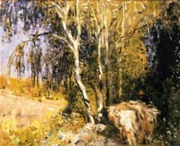 The Stream