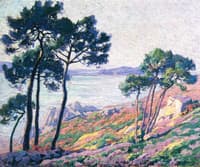 Pins au bord de la mer