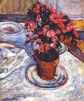 Azaleas in a pot