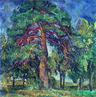 Pine tree
