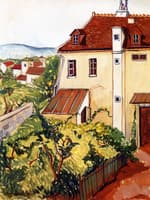 View of a Garden