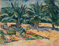 San-Maxim. Palm Tress
