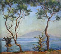 Sorrento. Mount Vesuvius and Two Olive Trees