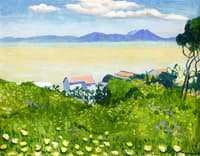 Flowering Field