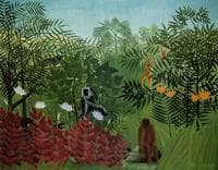 Tropical Forest with Apes and Snake