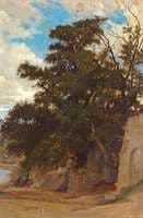 Trees in a Coastal Landscape