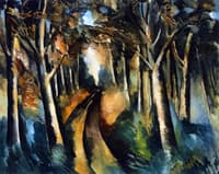 Woods near Jonchère