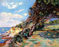 The Mediterranean Coast