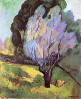 Saint-Tropez, A Flowering Tree