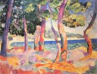 A Pinewood at Cavalière