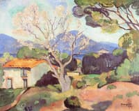 Flowering Almond Trees