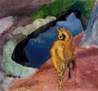 The yellow pony