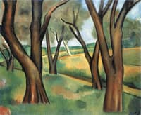 Trees at Cagnes