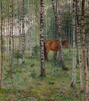 Horse in a Birch Grove