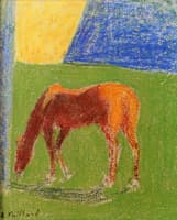 Horse at Pasture