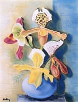 Orchids