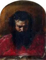 Head of a Cardinal