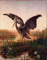 The Heron