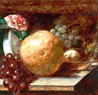 Grapefruit and Oranges