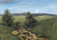 Landscape with grass and rocks