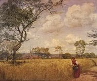 Cornfield in Oberursel, Summer