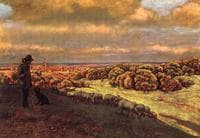 Flock of sheep in Oberursel