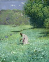 In the Meadow