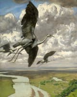 Wondrous birds