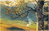 Tree in autumn near Wiesental