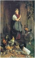 Feeding the Chickens