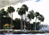 Red Shirt, Homosassa, Florida