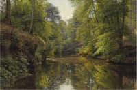 Wooded River Landscape