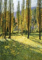 Poplars