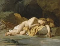 Narcissus