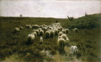 The Return of the Flock, Laren