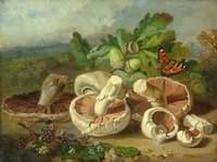 Still Life with Mushrooms