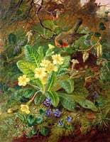 Primrose and Robin