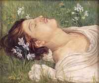 Narcissus
