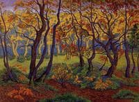 The Clearing