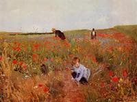Red Poppies