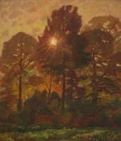 Autumn Sunlight